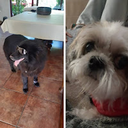 Catalina Valenzuela Vera