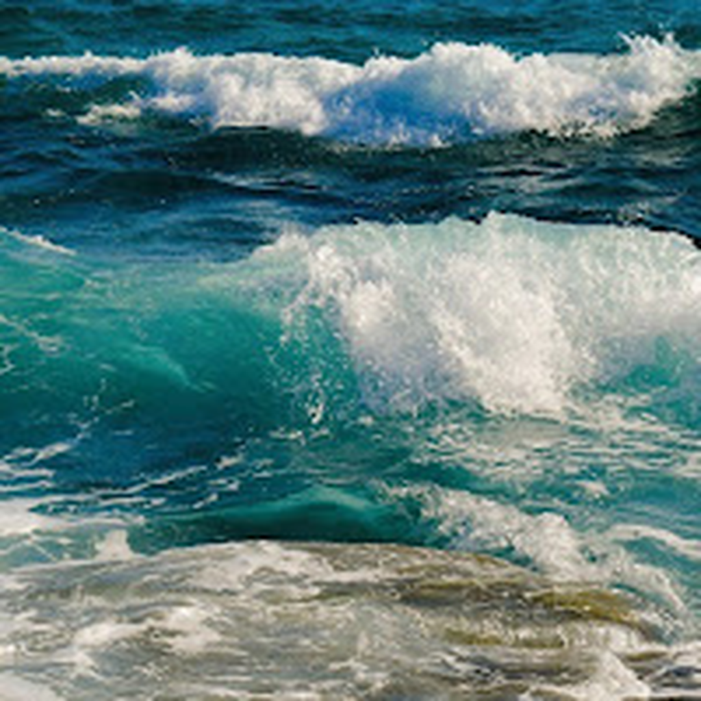 Francisco José Velasco Perea