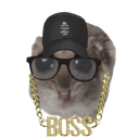 Mohe Edeen Abu Maizer