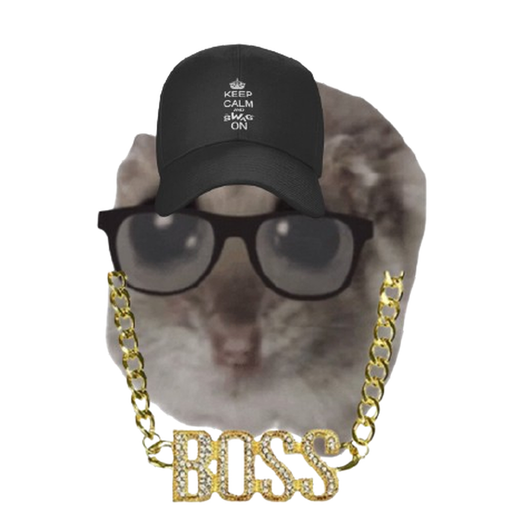 Mohe Edeen Abu Maizer